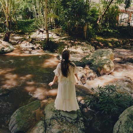 เดอะริเวอร์ แม่กำปอง The River Maekampong Chiang Mai Ban Pok Nai Exterior foto